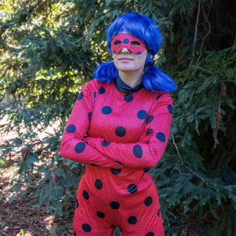 mascotte ladybug